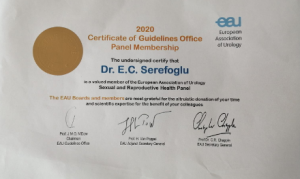 Avrupa Üroloji Derneği (EAU) 2020 Kılavuzları Yayınlandı 
